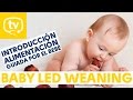 El Baby Led Weaning: Alimentación complementaria guiada por el bebé