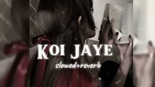 Koi Jaye To Le Aaye | 90s Evergreen Hindi Song |