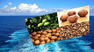Research Breakthrough: Walnuts Can Regulate Breast Cancer Gene Expression