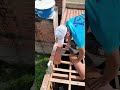 Awesome Tech! How to make a roof over your house? Mp3 Song