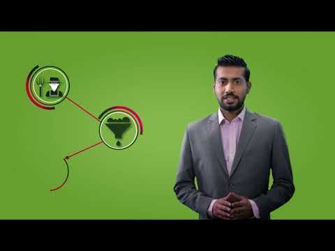 Hemp Corp