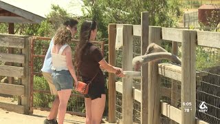 Tourist attractions in the Santa Ynez Valley taking precautionary measures during extreme heat