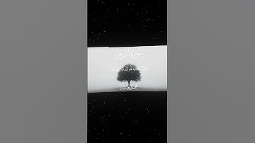 سورة الزمر|22|القارئ:#محمد_اللحيدان #قران #quran #قران_كريم #تلاوة #تلاوة_هادئة #آية #تلاوة_خاشعة