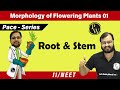 Morphology of Flowering Plants 01 | Root and Stem | Class 11 | Pace Series | NEET