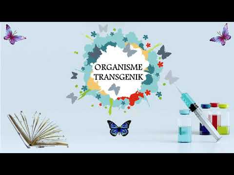 Organisme Transgenik - Sefruit Presentasi