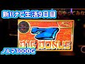 カピバラくん　アステカ神曲キター　新ハナビ生活9日目　ノルマ3000G　＃256
