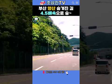 부산 양산 숨겨진 길 4.5배속으로 슝💨 #부산 #양산 #드라이브