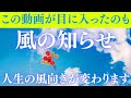 【運命が大きく動き出す】空気の流れ、なぜかタイミングが合う出来事。それはあなたの波動が変化し、人生の風向きが変わったサイン。過去を手放すと、新しい風があなたを運び始めます。