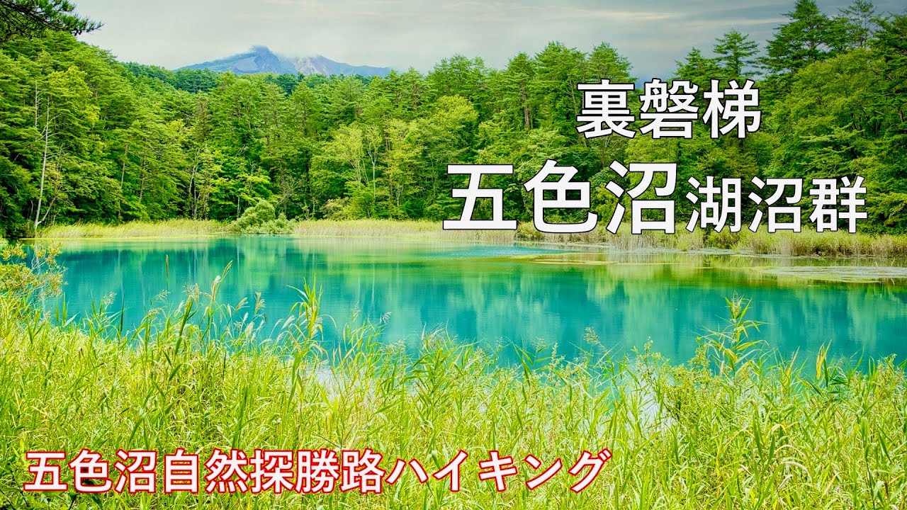 【人気のハイキングコース】4K 福島県 裏磐梯 五色沼湖沼群 ミシュラングリーンガイド一つ星！