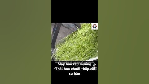 Máy bao rau muống, máy Thái hoa chuối bắp cải su hào #tiktok #cokhitantien #tiktok #xuhuongyoutube
