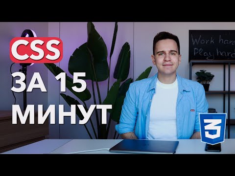 Основы CSS для Начинающих (в 2024)