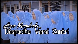 Despacito Versi Ayo Mondok || Santri Al-qona'ah