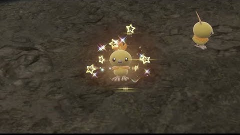 DOUBLE Shiny Torchic!! In Pokemon Scarlet The Indigo Disk