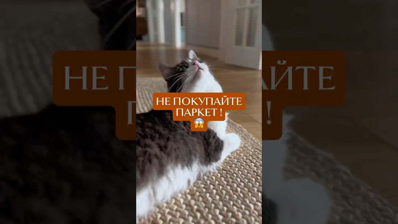 Купили и пожалели? Паркет 3 года спустя 