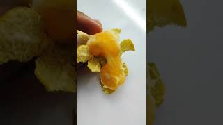 Small Orange🟠 #small #orange #fruit #garden