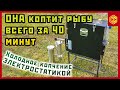 КОПТИЛЬНЯ "ГОРЫНЫЧ". Скумбрия копченая. Холодное копчение за 40 минут.