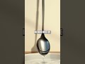 Mirror Maze: Exploring Light with Water and a Spoon