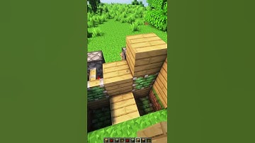 Minecraft Block Swapper 💀 #minecraft #shorts