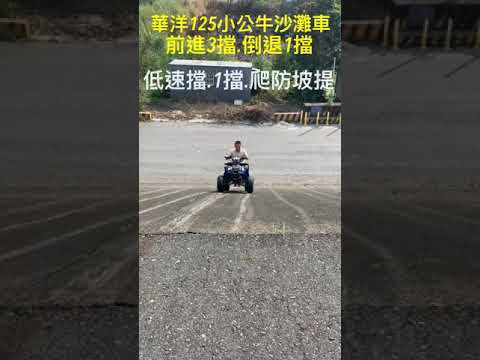 華洋125cc 小公牛沙灘車（前進3擋.倒退1擋）：28000元