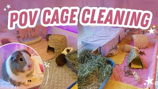 POV REALTIME GUINEA PIG CAGE CLEANING!