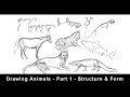 Drawing Animals For Beginners Part 1 Structure Form Drawing Animals For Beginners Part 1 Structure Form