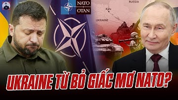 UKRAINE CHẤP NHẬN TỪ BỎ GIẤC MƠ NATO ĐỂ KẾT THÚC GIAO TRANH: CHIẾN THẮNG QUÁ OANH LIỆT CỦA TT PUTIN