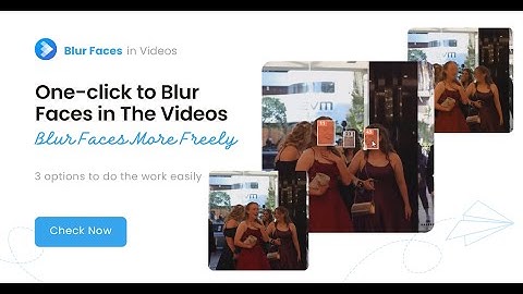 Video Editing on Blurring Moving Faces in Privacy Video (3 Options)