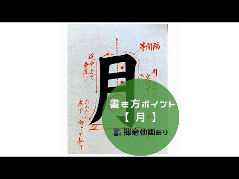 【書道手本】「月」の書き方とコツ（毛筆・大筆・楷書）【calligraphy】How to write "tsuki" with a brush【shodo】