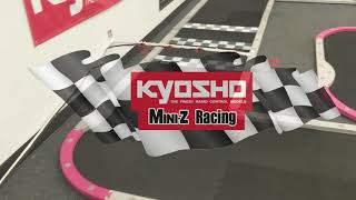 Mini Z Racing at HobbyTown VB