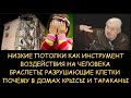 Н.Левашов: Как низкие потолки воздействуют на человека. Браслеты разрушающие клетки. Откуда тараканы