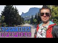 Переехал на фазенду в Симеизе / Они снова выползли / Варю Борщ Vlog_546