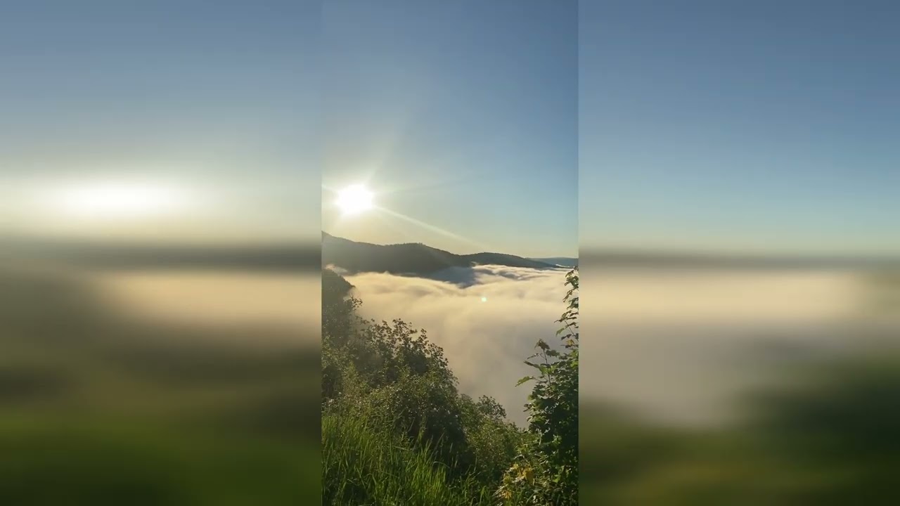 mAndy 22 - Nowy Świat