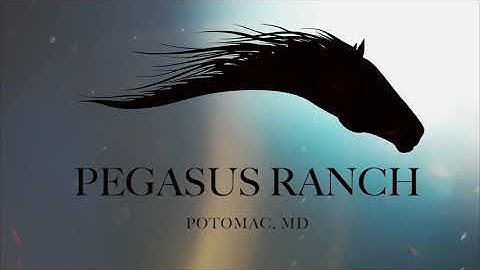 Fixed wing swarm at Pegasus Ranch