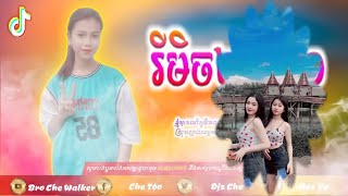 Remix 2021 បទល្បីក្នុងTik Tok2021 (បទថ្មីរាំផ្អើលភូមិ)Best Song  By Famliy khmer remix Bro Che