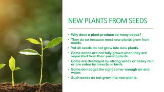 CLASS-5 SCIENCE CHAPTER-1 PLANTS INCREASING THE NUMBERS