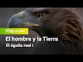 El hombre y la tierra: Capítulo 46 - El águila real I | RTVE Archivo