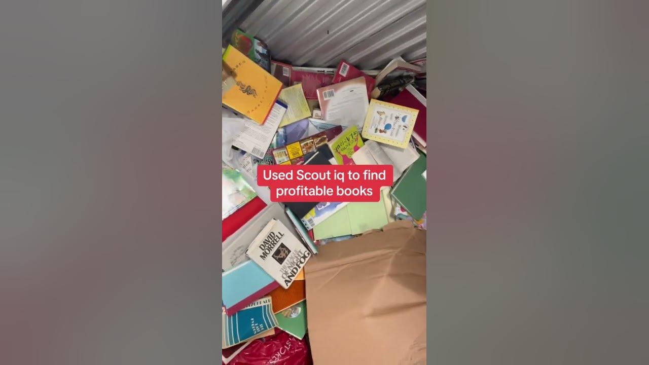 How I Made 30k Selling Used Books YouTube the-best-phone-under-30-000-2023-youtube