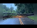 Heavy rain topples trees, closes roads across metro Atlanta