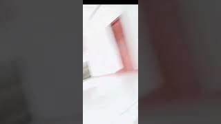 The Bigo Saow Dadar Khn Ngam