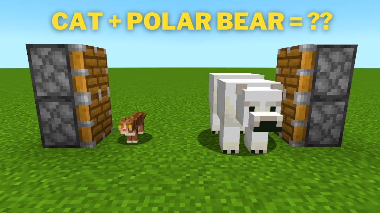Minecraft, cat + polar bear = ??