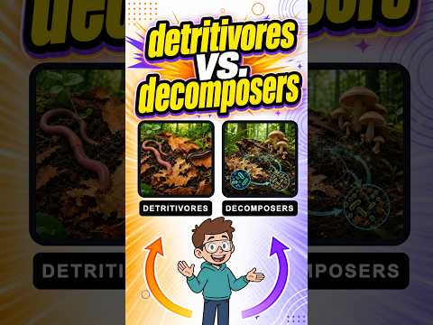 ✅ Detritivores vs Decomposers: What’s the Difference? | Biology Explained
