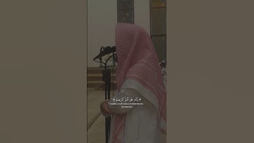 إِنَّهُۥ هُوَ ٱلۡبَرُّ ٱلرَّحِيمُ | سورة الطور | محمد اللحيدان
