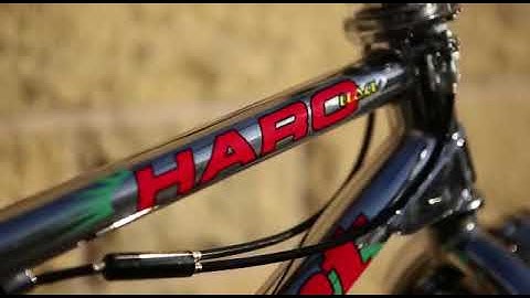 Haro Sport Bashguard 1993