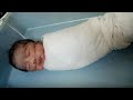 Rudransh maurya(1)