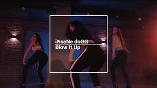 Insane Dogg - Blow It Up (Dancing Girls)