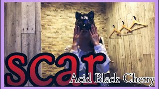 Scar Acid Black Cherry 歌ってみた Youtube