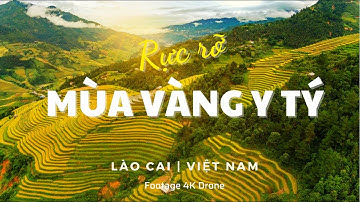 Y TÝ | Rực rỡ mùa vàng Tây Bắc
