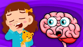 Learn Why We Yawn | Human Body Songs For Kids | KLT Anatomy