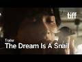THE DREAM IS A SNAIL Trailer | TIFF 2026