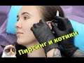 ПИРСИНГ И КОТИКИ (тонкости ухода за проколами ушей)